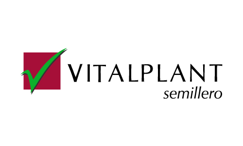 VITALPLANT.jpg